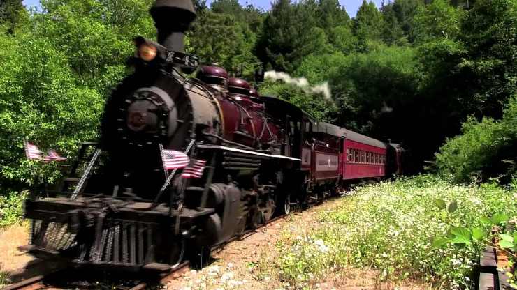 Ecco come ha preso il nome lo Skunk Train della California e perché è così scenografico
